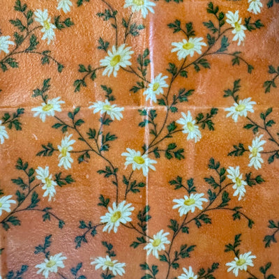 Wild Daisy on Burnt Orange